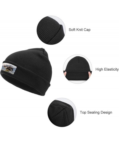 Winter Beanie Hats for Men Women,White Owl Beanie Soft Warm Knit Hat Ski Stocking Cuffed Cap Black-snow Mountain Eagle $14.55...