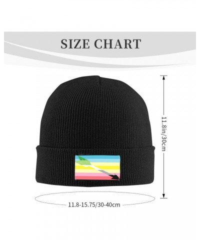 Gray Aromantic Pride Flag Beanie Hats Warm Chunky Cable Knit Hat Slouchy Skull Cap for Women Men $12.52 Skullies & Beanies