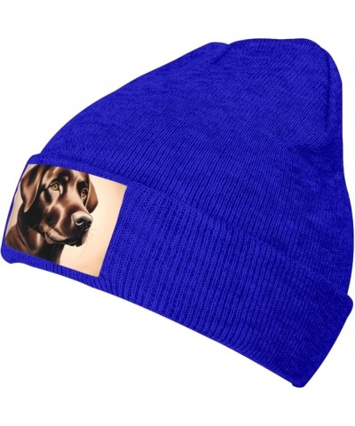 Black Warm Knit Hat Brown Labrador Retriever Prints Soft Good Elasticity Suitable for Outdoor Sports Blue $13.22 Skullies & B...