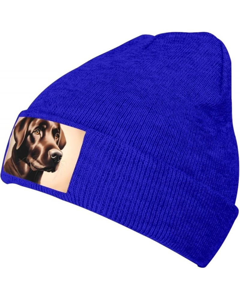 Black Warm Knit Hat Brown Labrador Retriever Prints Soft Good Elasticity Suitable for Outdoor Sports Blue $13.22 Skullies & B...