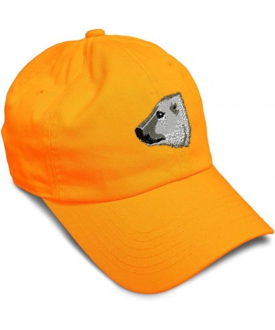 Soft Baseball Cap Polar Bear B Embroidery Wild Animals Bears Embroidery Cotton Dad Hats for Men & Women Orange Design Only $1...