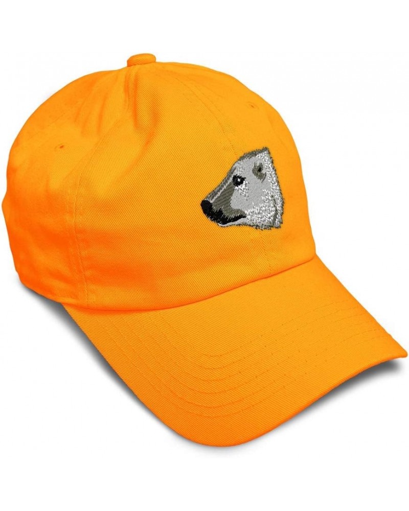 Soft Baseball Cap Polar Bear B Embroidery Wild Animals Bears Embroidery Cotton Dad Hats for Men & Women Orange Design Only $1...